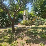 De Vivo Realty - Coco's מטה