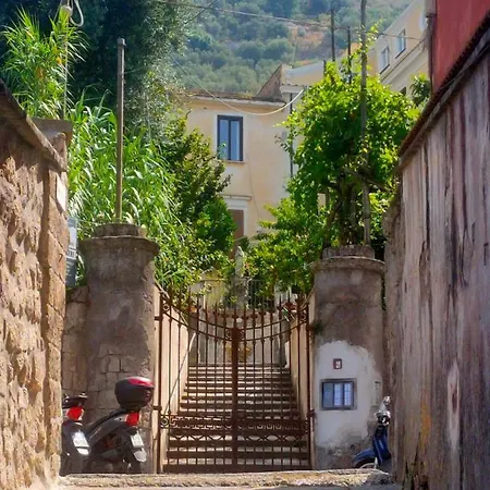 Bed and Breakfast Coco's - De Vivo Realty Meta